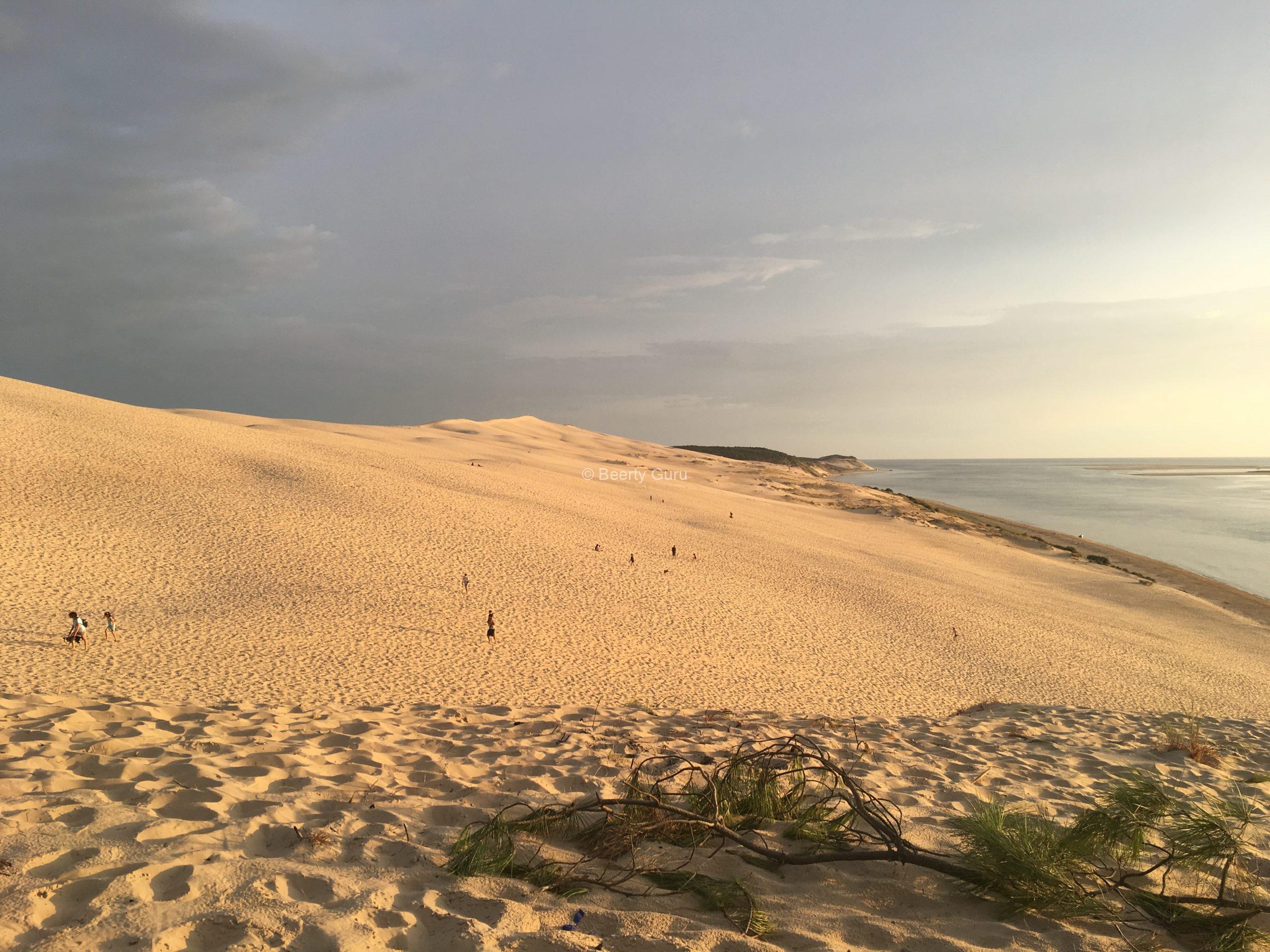 Piesočná duna